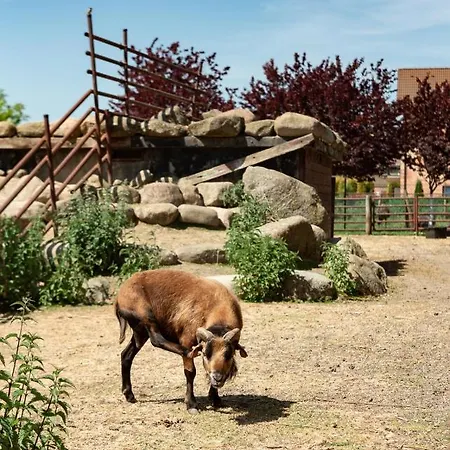 Podkowa Feriegård Police