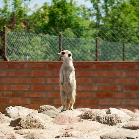 Feriegård Podkowa *