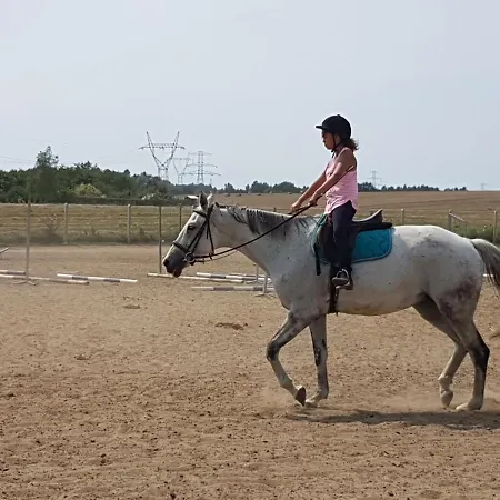 Feriegård Podkowa Police