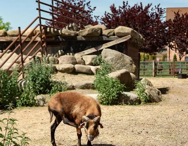 Podkowa Gospodarstwo agroturystyczne Police