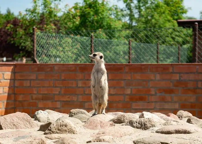 בית חווה Podkowa *