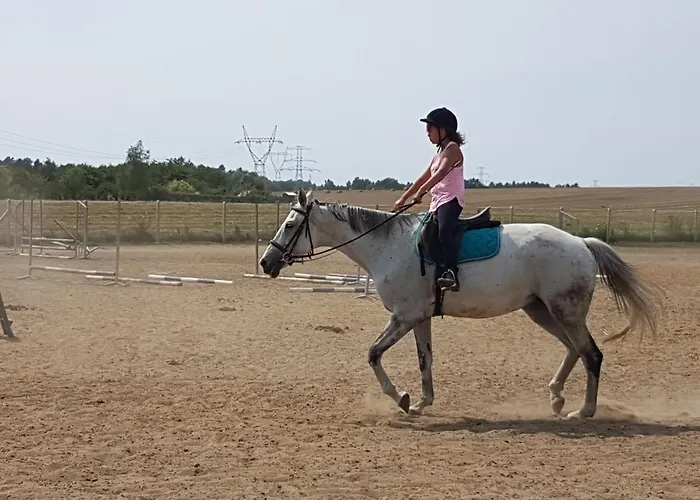 בית חווה Podkowa פוליס