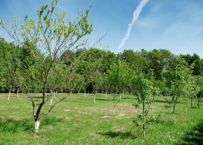 Podkowa * פוליס